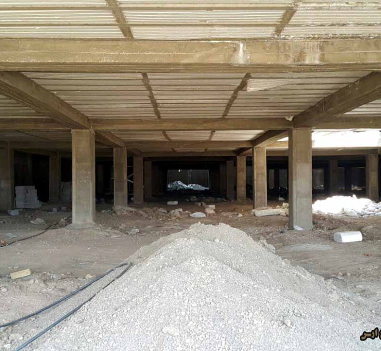 دامون ارس