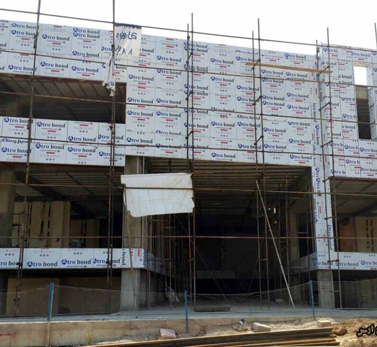دامون ارس