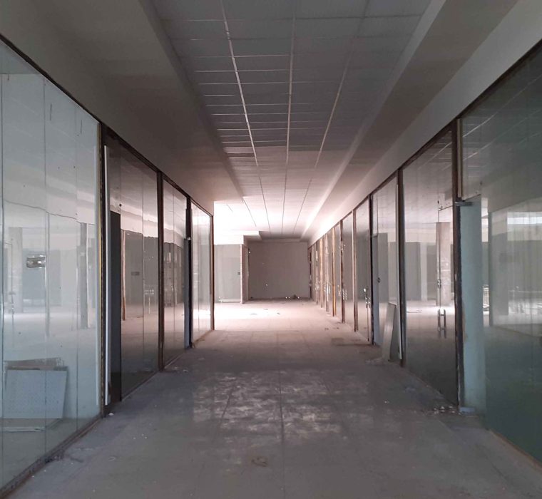 دامون ارس