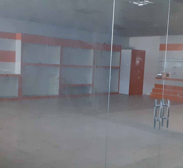 دامون ارس