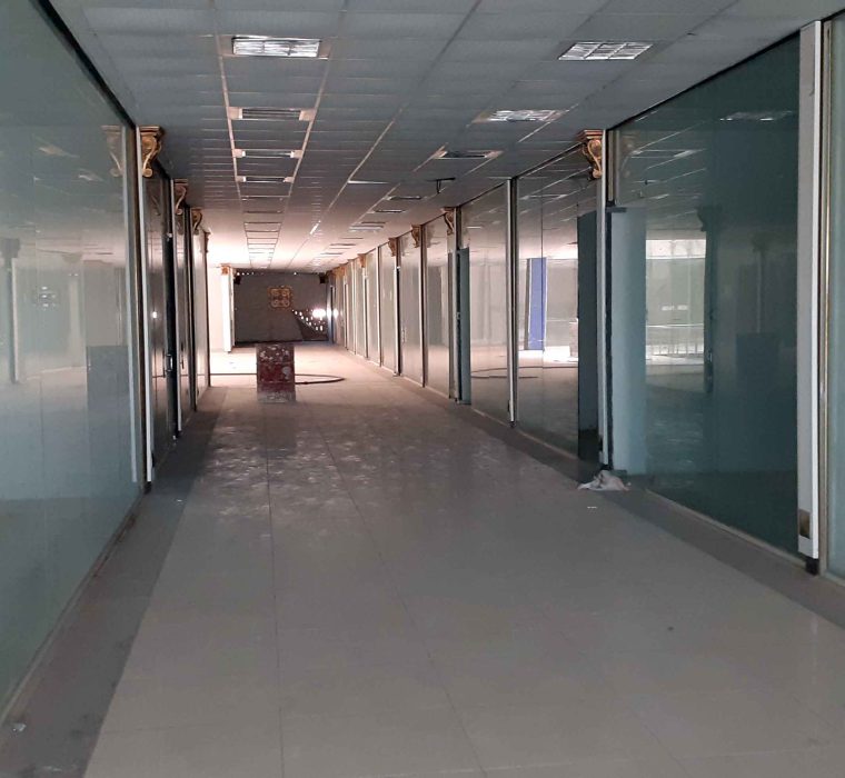 دامون ارس