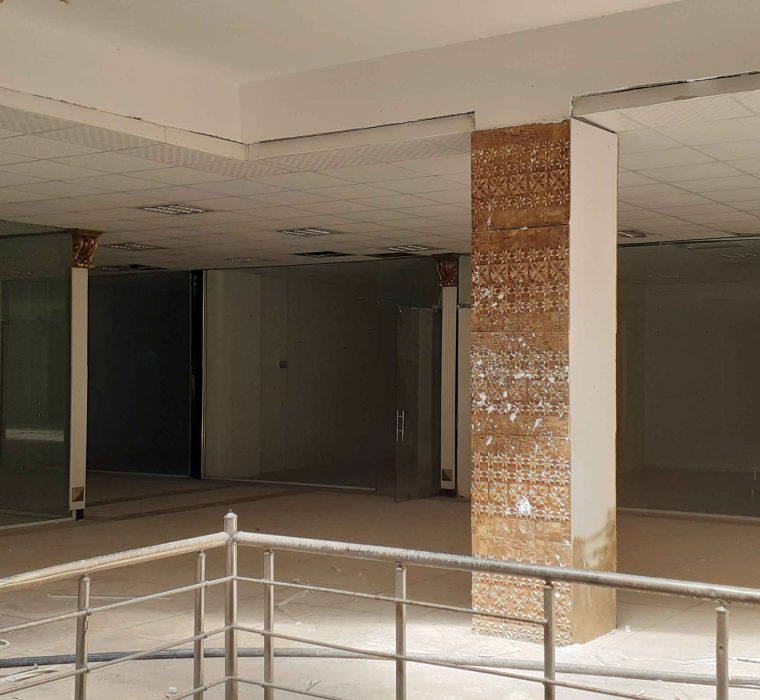 دامون ارس