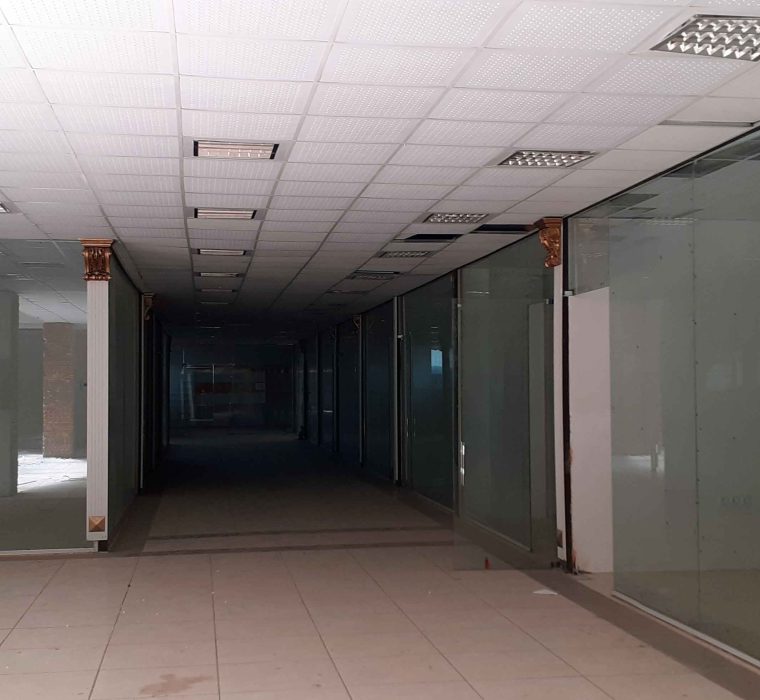 دامون ارس