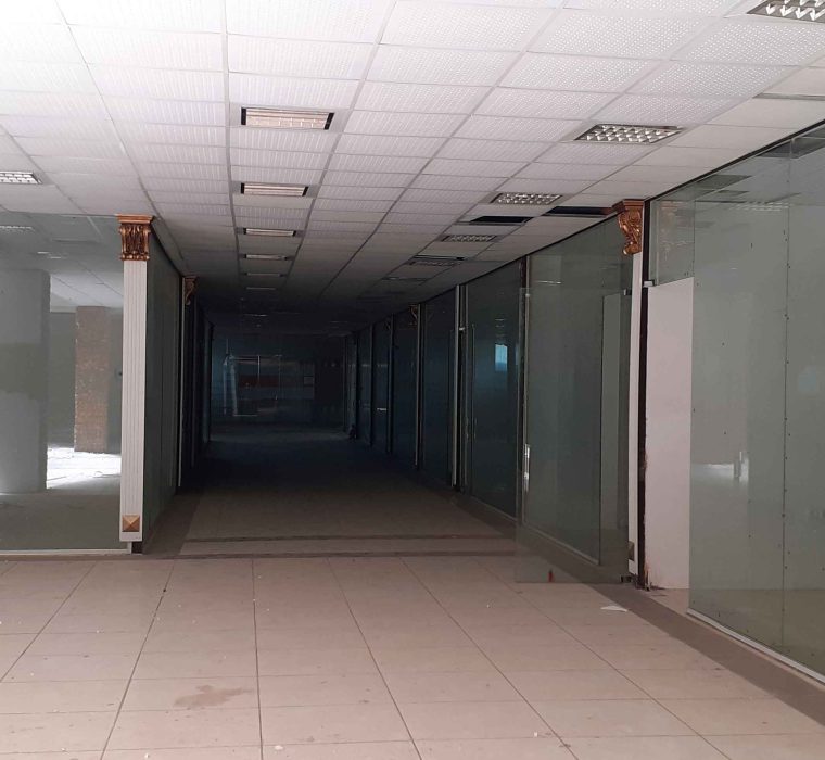 دامون ارس